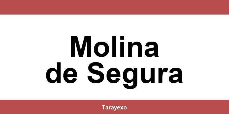Contacta por teléfono con el centro de CTT Express en Molina de Segura