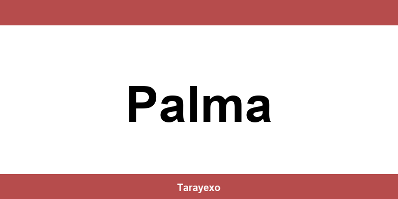 Contacta por teléfono con el centro de CTT Express en Palma