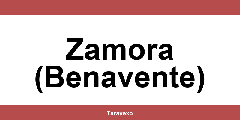 Contacta por teléfono con el centro de CTT Express en Zamora (Benavente)
